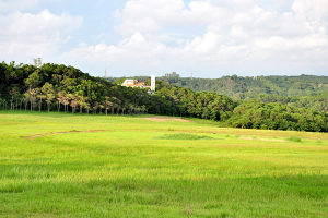 新竹青青草原2